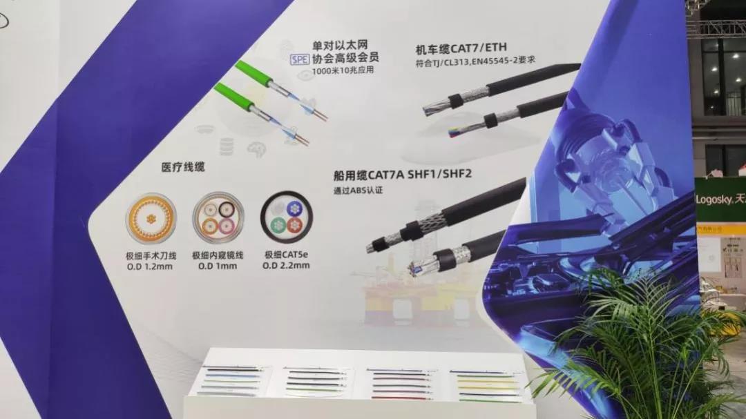 2026���±�,����ֱ��,NBAֱ��,����ֱ����_��������