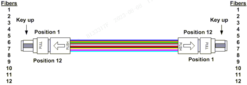 2026���±�,����ֱ��,NBAֱ��,����ֱ����_��������